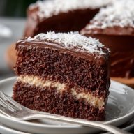 Moist Chocolate Coconut Cake with Chocolate Frosting