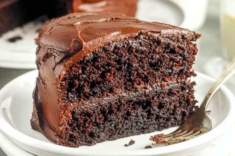 Chocolate Cake with Mayonnaise