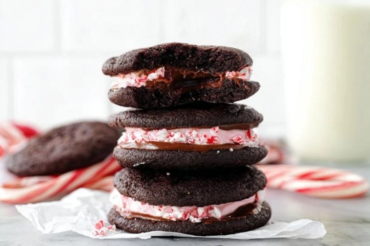 Chocolate Peppermint Sandwich Cookies